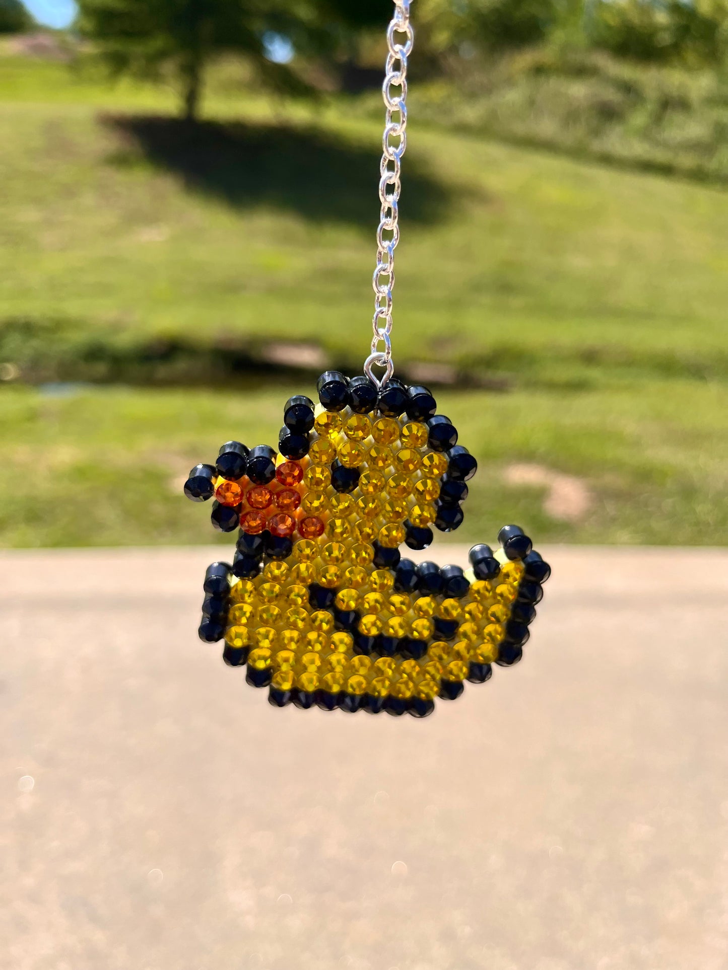 Duck Car Ornament with charm