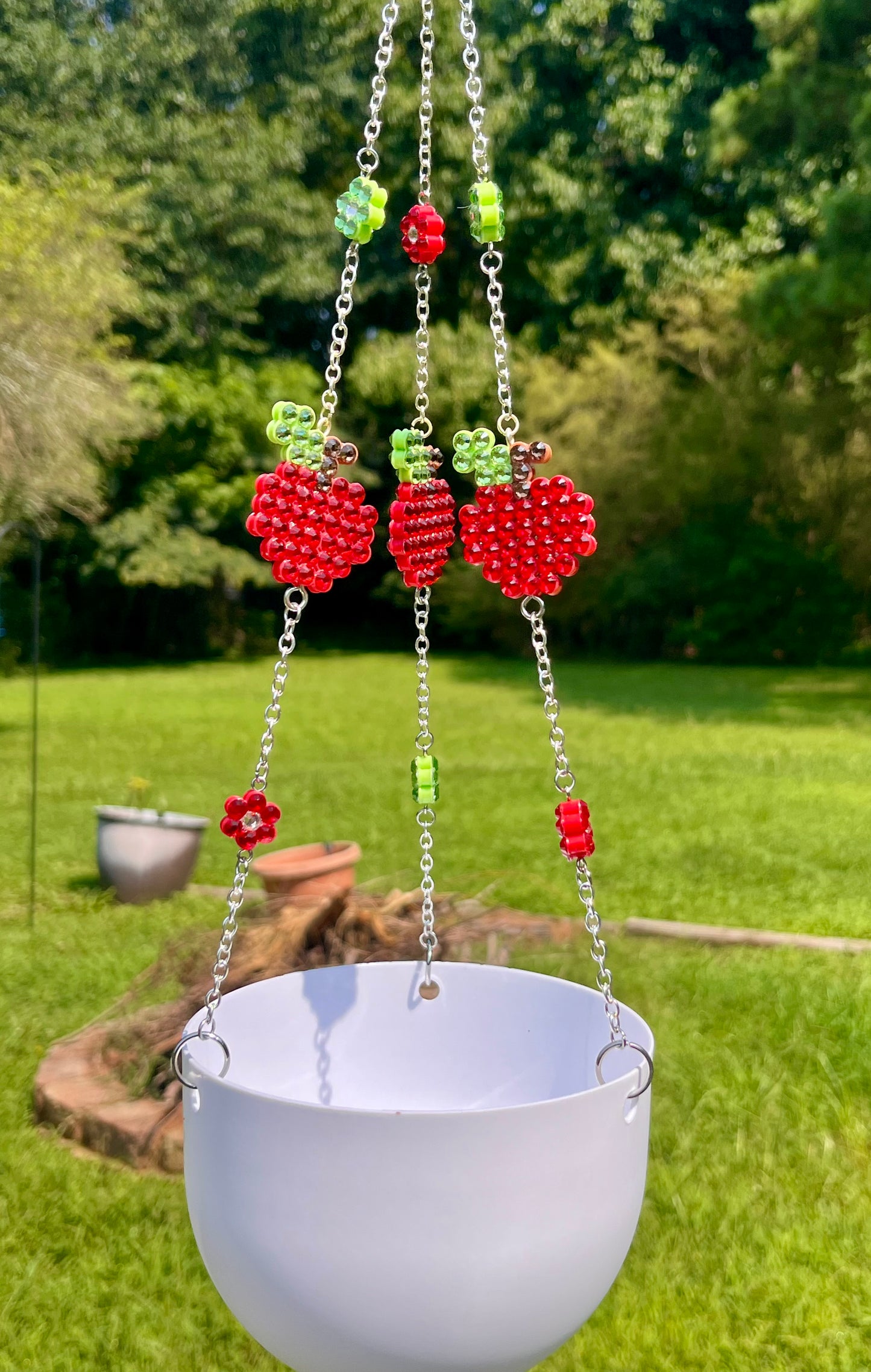 Apple a Day Hanging Planter