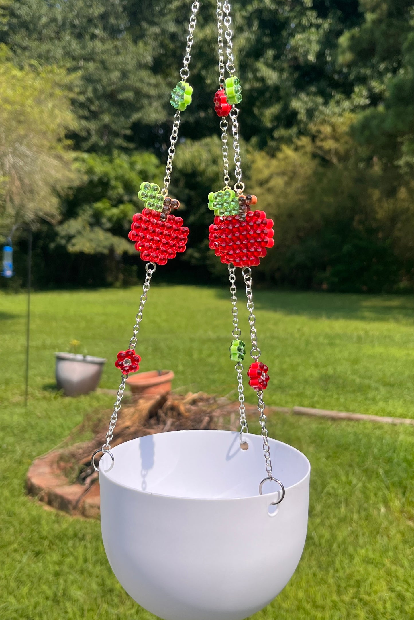 Apple a Day Hanging Planter