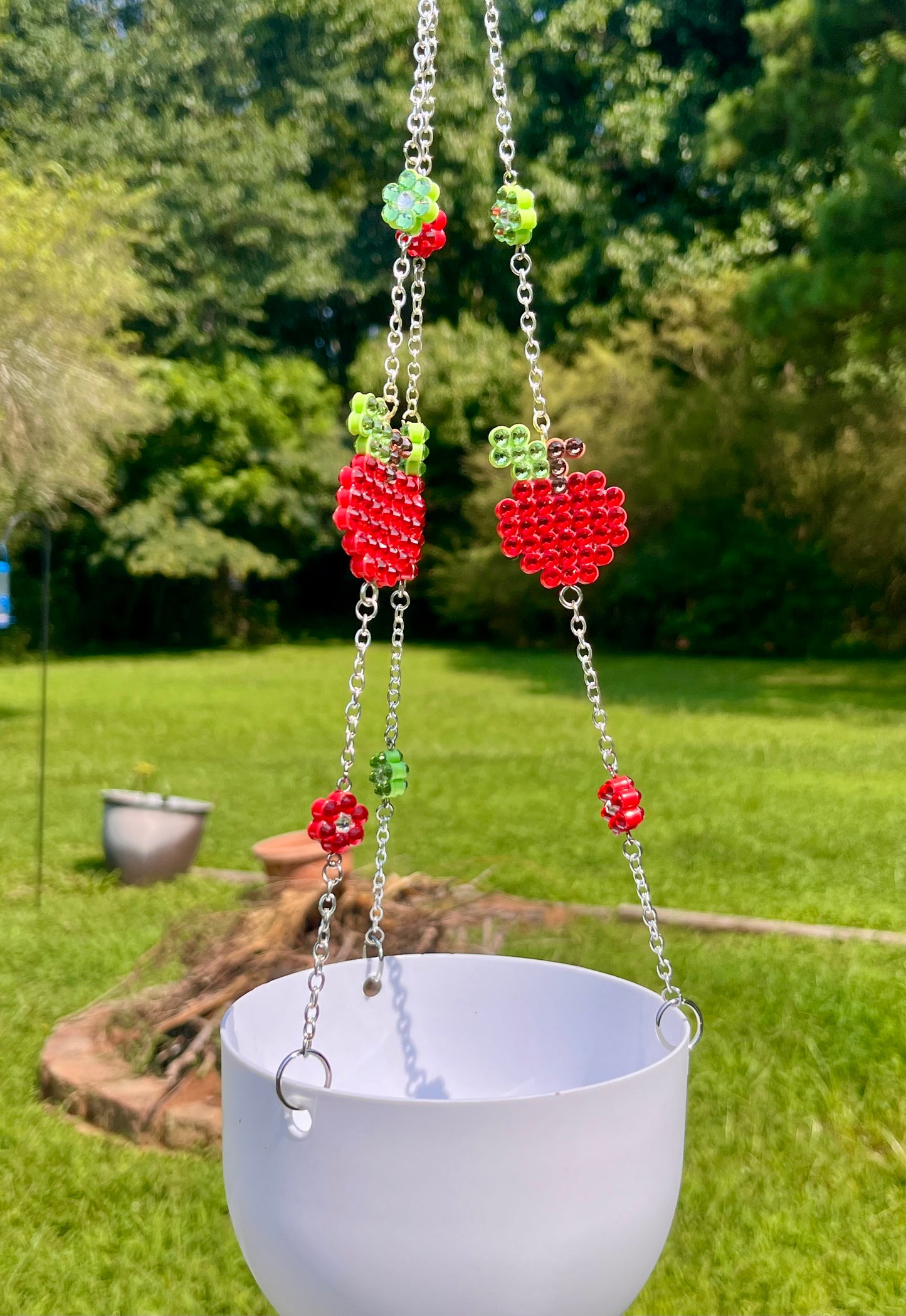 Apple a Day Hanging Planter